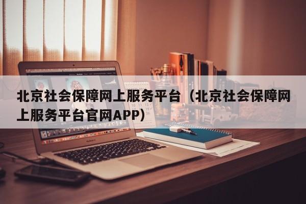 北京社会保障网上服务平台（北京社会保障网上服务平台官网APP）