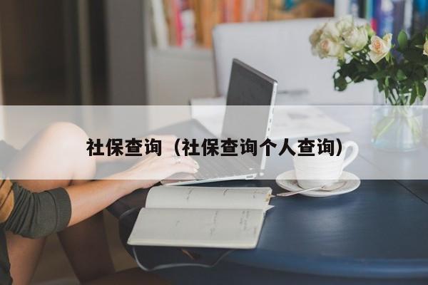 社保查询（社保查询个人查询）