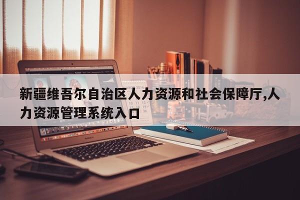 新疆维吾尔自治区人力资源和社会保障厅,人力资源管理系统入口