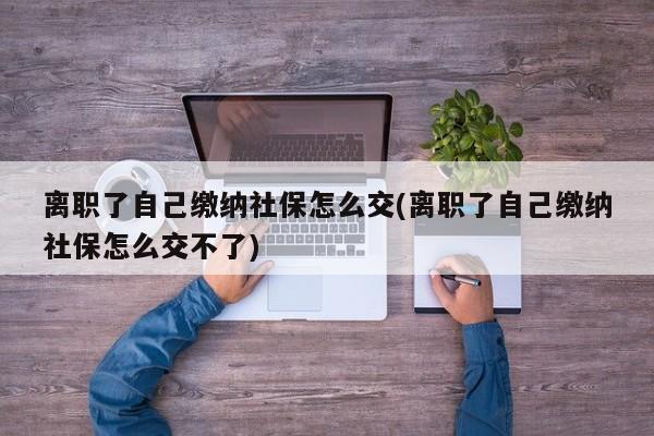 离职了自己缴纳社保怎么交(离职了自己缴纳社保怎么交不了)