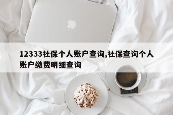 12333社保个人账户查询,社保查询个人账户缴费明细查询