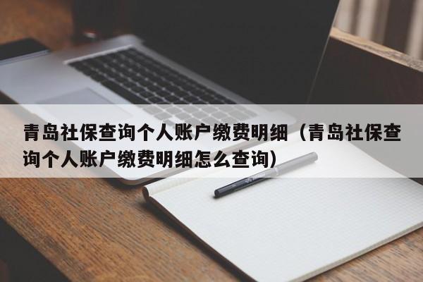 青岛社保查询个人账户缴费明细（青岛社保查询个人账户缴费明细怎么查询）