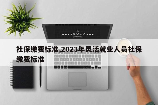 社保缴费标准,2023年灵活就业人员社保缴费标准