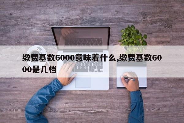 缴费基数6000意味着什么,缴费基数6000是几档