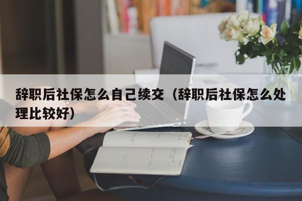 辞职后社保怎么自己续交（辞职后社保怎么处理比较好）