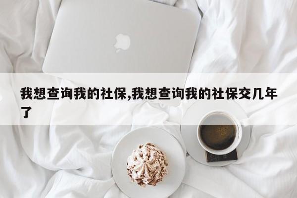 我想查询我的社保,我想查询我的社保交几年了