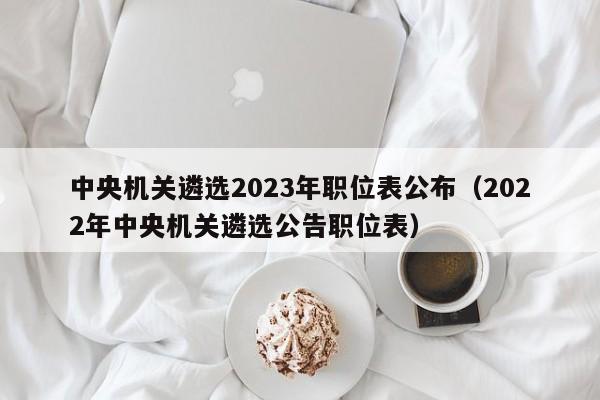 中央机关遴选2023年职位表公布（2022年中央机关遴选公告职位表）